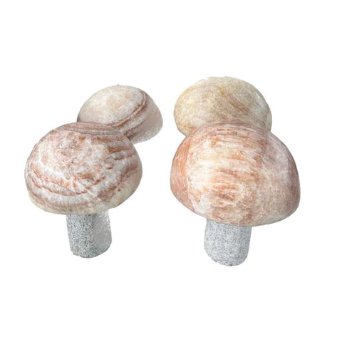 Beige Onyx Mushroom with Grey Granite Pillar 9.8" (25cm)